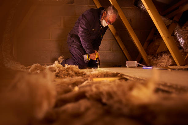 Best Insulation Contractor Near Me  in Tioga, ND